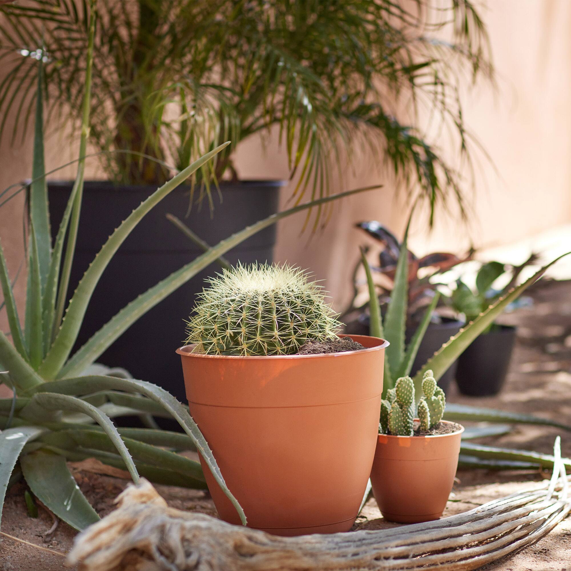 Alt View 4. Bloem - Terra Cotta 12" - Dayton Pot Planter.