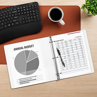 ANNUAL BUDGET REVENUE TRACKER  
CONFIDENTIAL