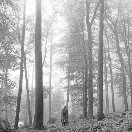 Front. Taylor Swift - Folklore - VINYL LP.