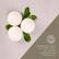 FRAGRANCE-FREE
DYE-FREE, WITH NO FILLERS, CHEMICALS OR SYNTHETICS