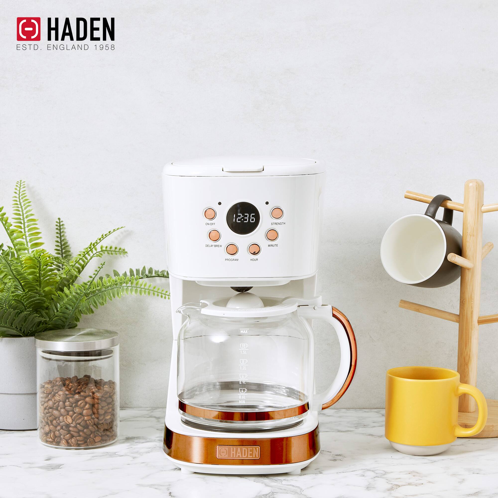 HADEN  
ESTD. ENGLAND 1958  

PROGRAM  
ON/OFF  
DELIVERY  
STRENGTH  
HOUR  
MINUTE  

MAX  
1.5L  
1.25L  
1L  
0.75L  
0.5L  
0.25L  
0L