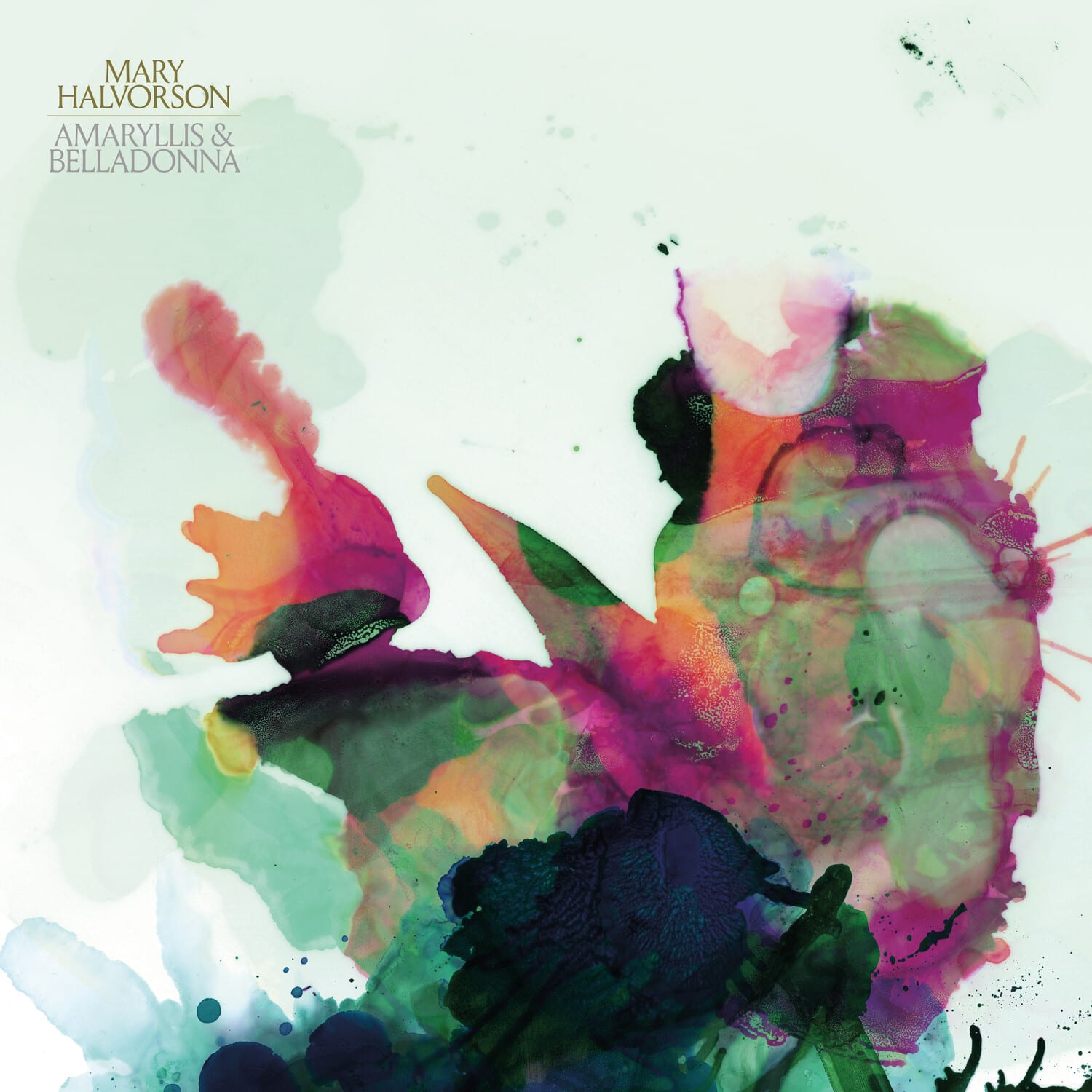 Mary Halvorson - Amaryllis & Belladonna   - VINYL LP price history on PriceWatchPro