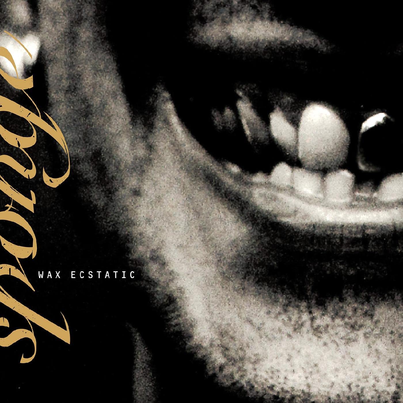 Front. Wax Ecstatic [LP].