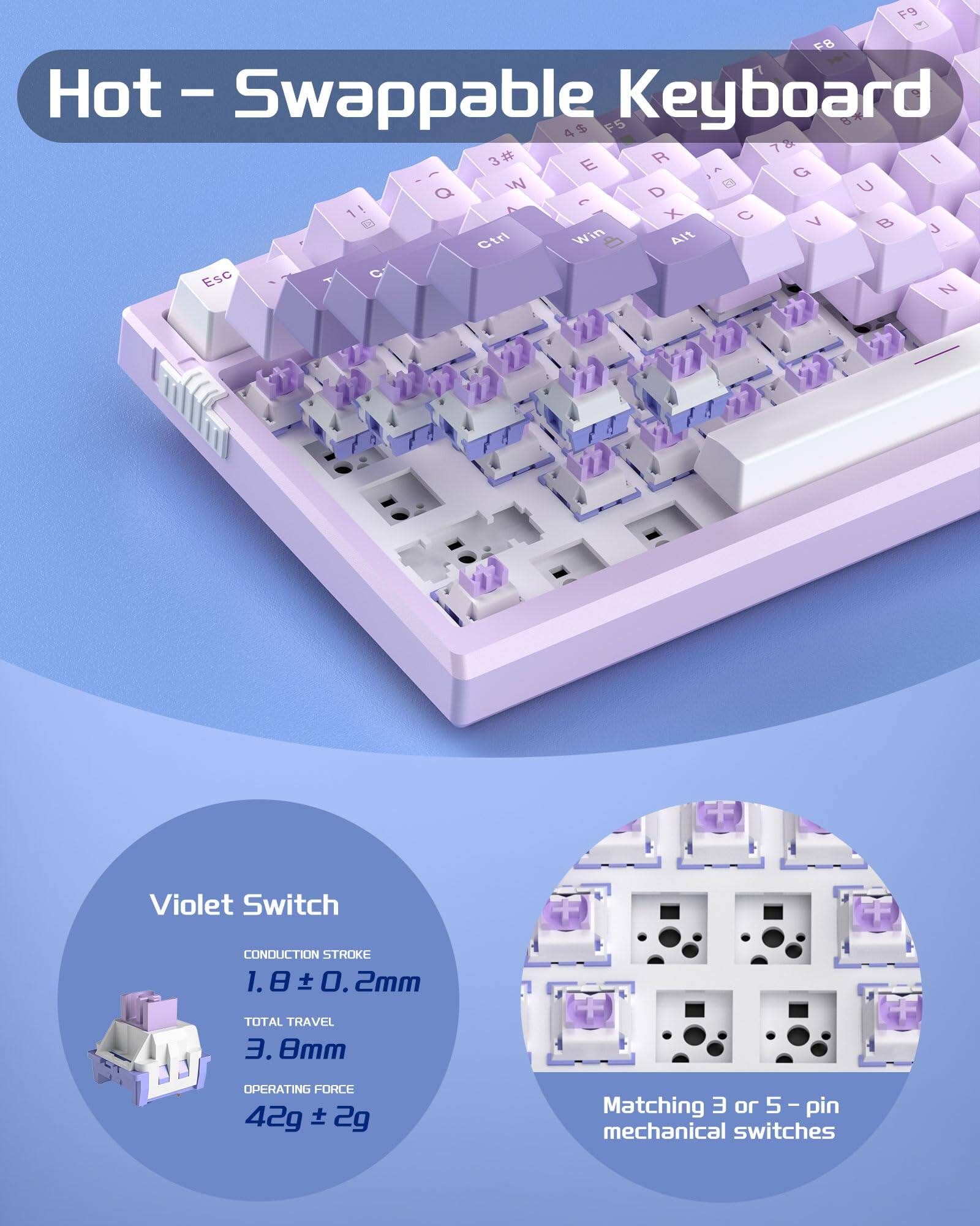 Hot - Swappable Keyboard

F9 C FB Hot Swappable 4% $ F5 Keyboard

Violet Switch
- CONDUCTION STROKE: 1.8 ± 0.2mm
- TOTAL TRAVEL: 3.8mm
- OPERATING FORCE: 42g ± 2g

Matching 3 or 5-pin mechanical switches
