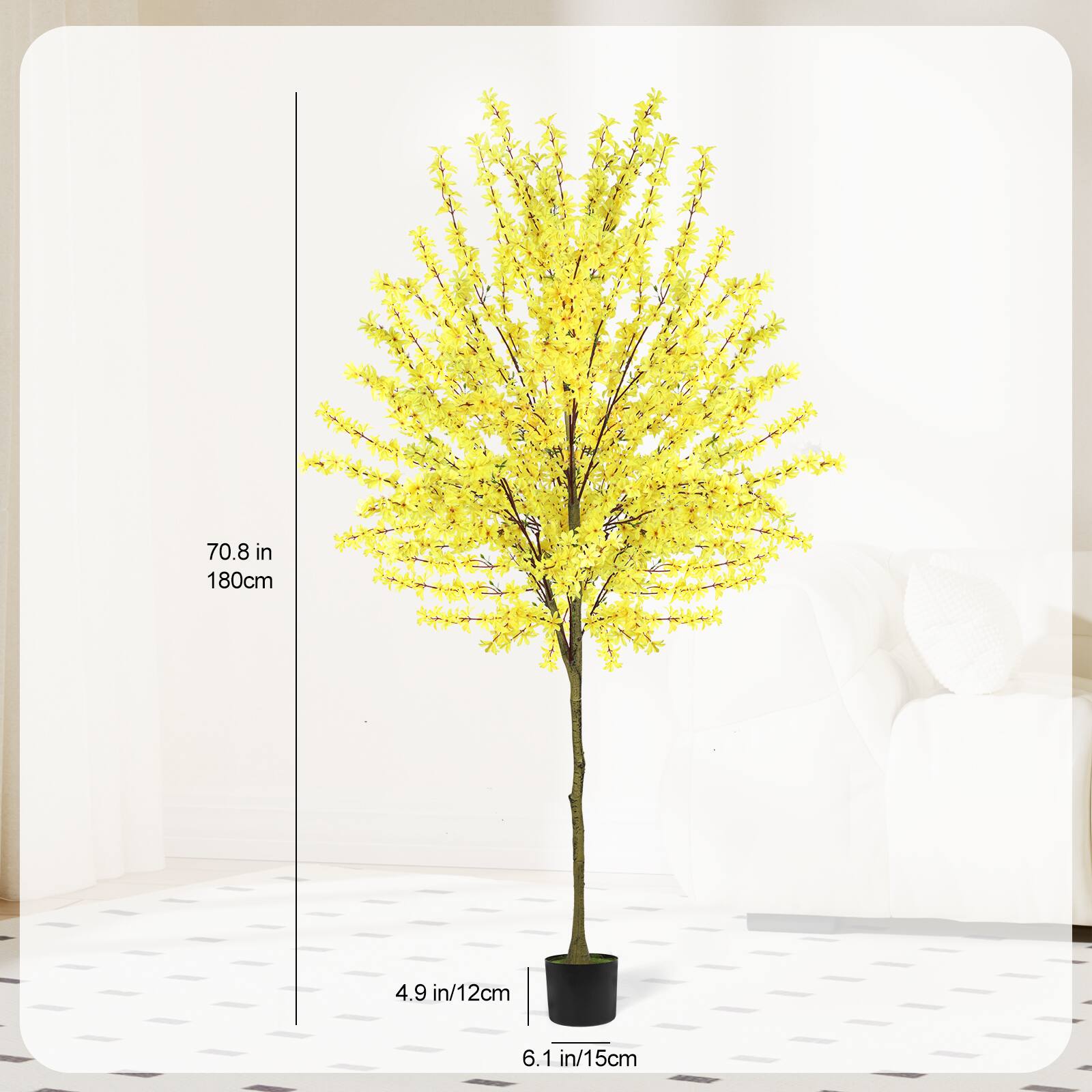70.8 in / 180cm  
4.9 in / 12cm  
6.1 in / 15cm