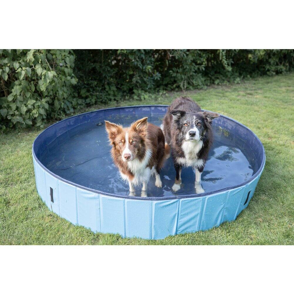 Left. TRIXIE - Outdoor Splash Pool for Dogs, Foldable Playpen, Bathtub - Blue.