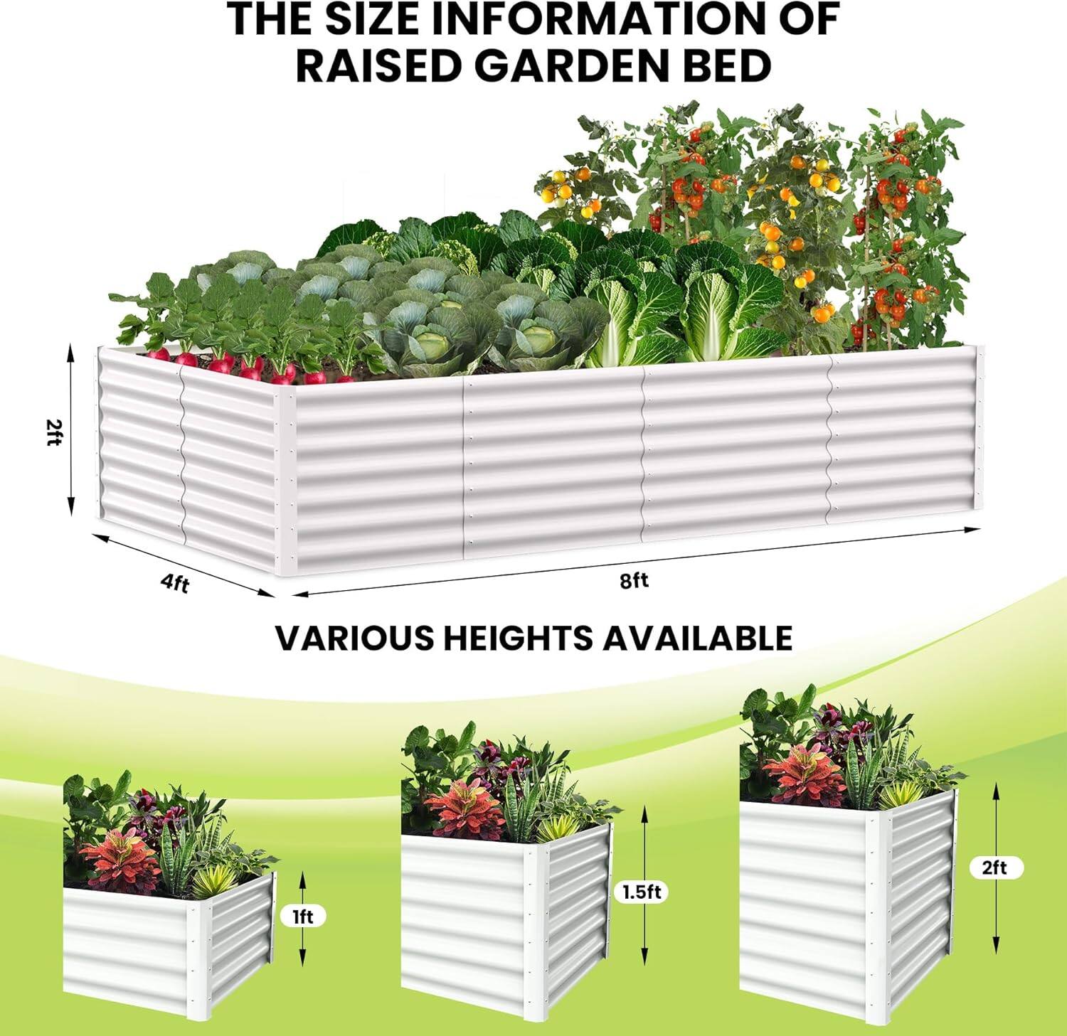 The size information of raised garden bed:

- 2ft x 4ft x 8ft
- Various heights available: 1ft, 1.5ft, 2ft