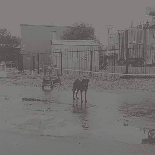 Front. After Its Own Death/Walking in a Spiral Towards the House [LP].