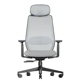 ProtoArc - EC200 Ergonomic Office Chair , Mesh Desk Chair with Adjustable Seat Depth,High-Back - Gray