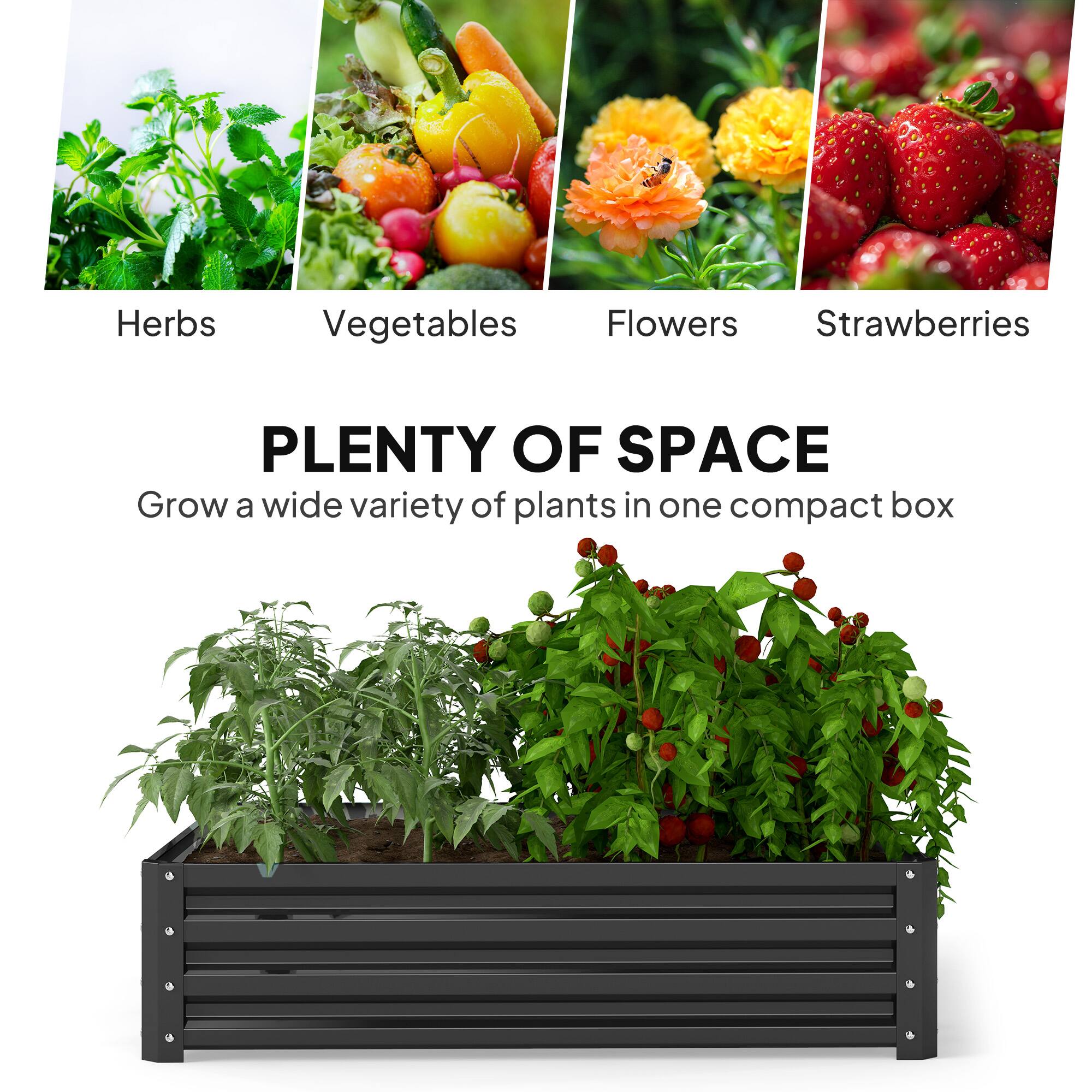 Herbs, Vegetables, Flowers, Strawberries, PLENTY OF SPACE, Grow a wide variety of plants in one compact box