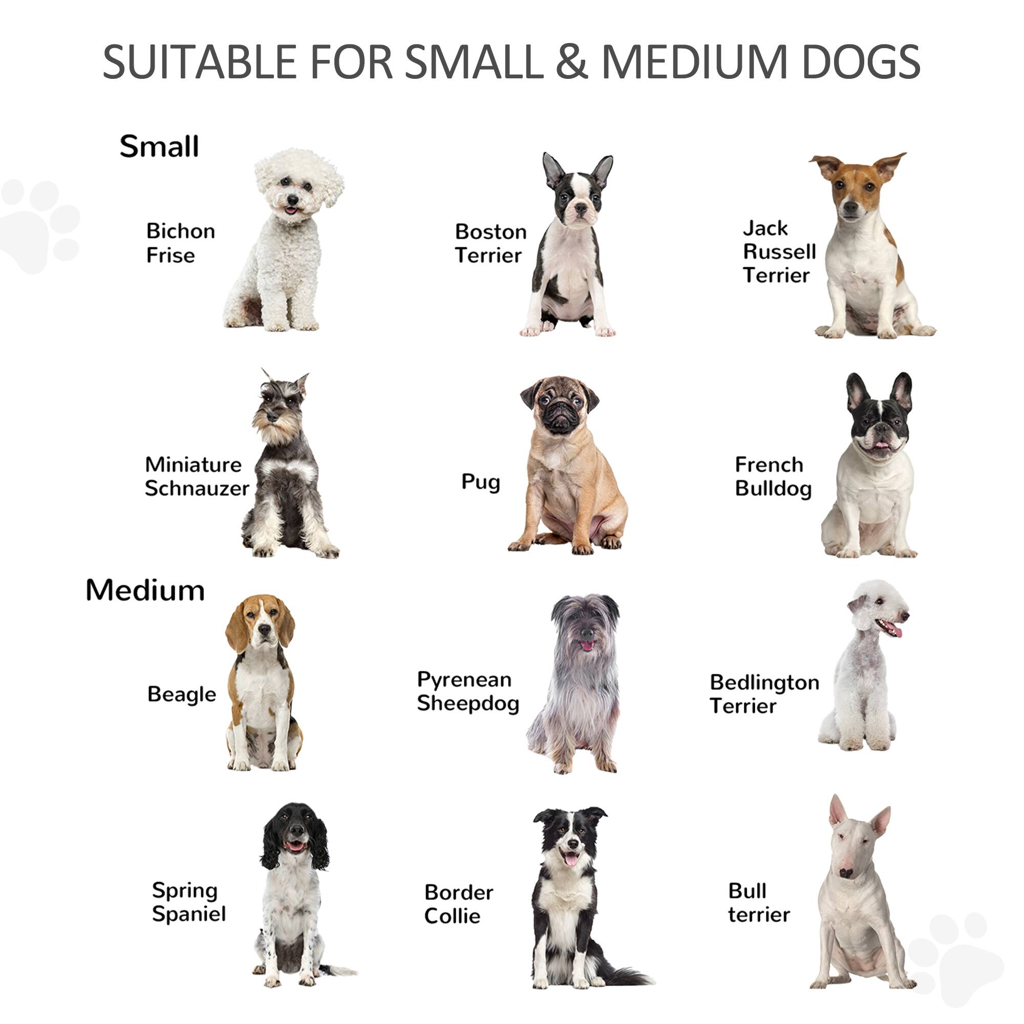 SUITABLE FOR SMALL & MEDIUM DOGS

Small
- Bichon Frise
- Boston Terrier
- Jack Russell Terrier
- Miniature Schnauzer
- Pug
- French Bulldog

Medium
- Beagle
- Pyrenean Sheepdog
- Bedlington Terrier
- Spring Spaniel
- Border Collie
- Bull Terrier