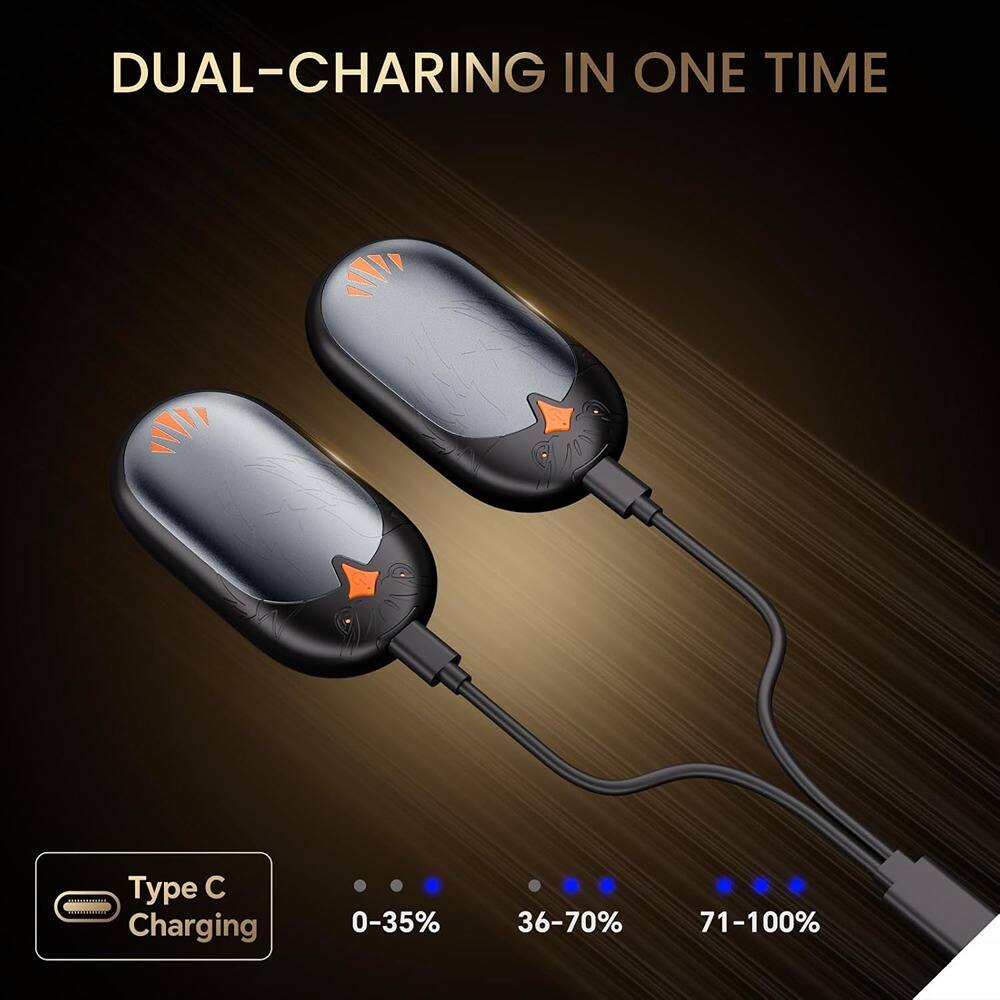 DUAL-CHARGING IN ONE TIME

Type C Charging

0-35%
36-70%
71-100%