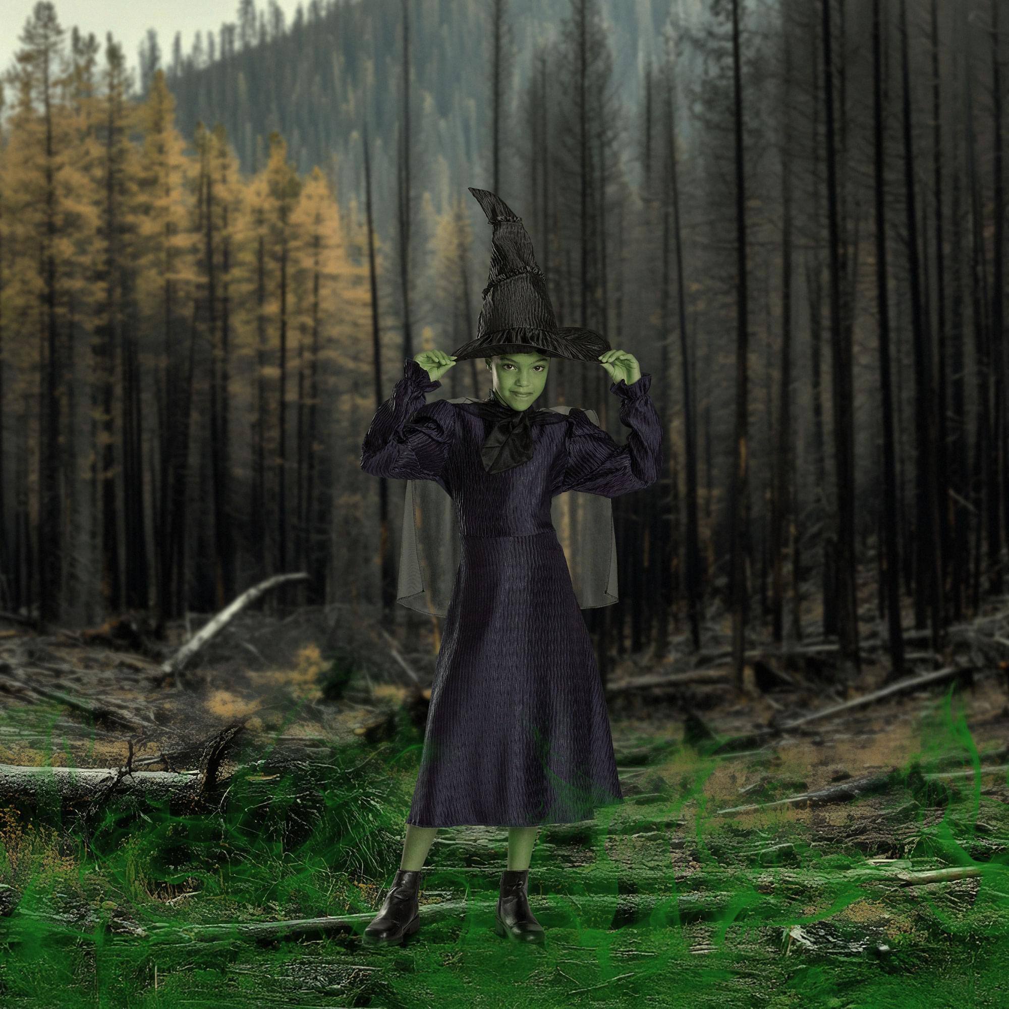 Alt View 2. Disguise - Wicked Elphaba Classic Child Costume | Large 10-12 - Black.