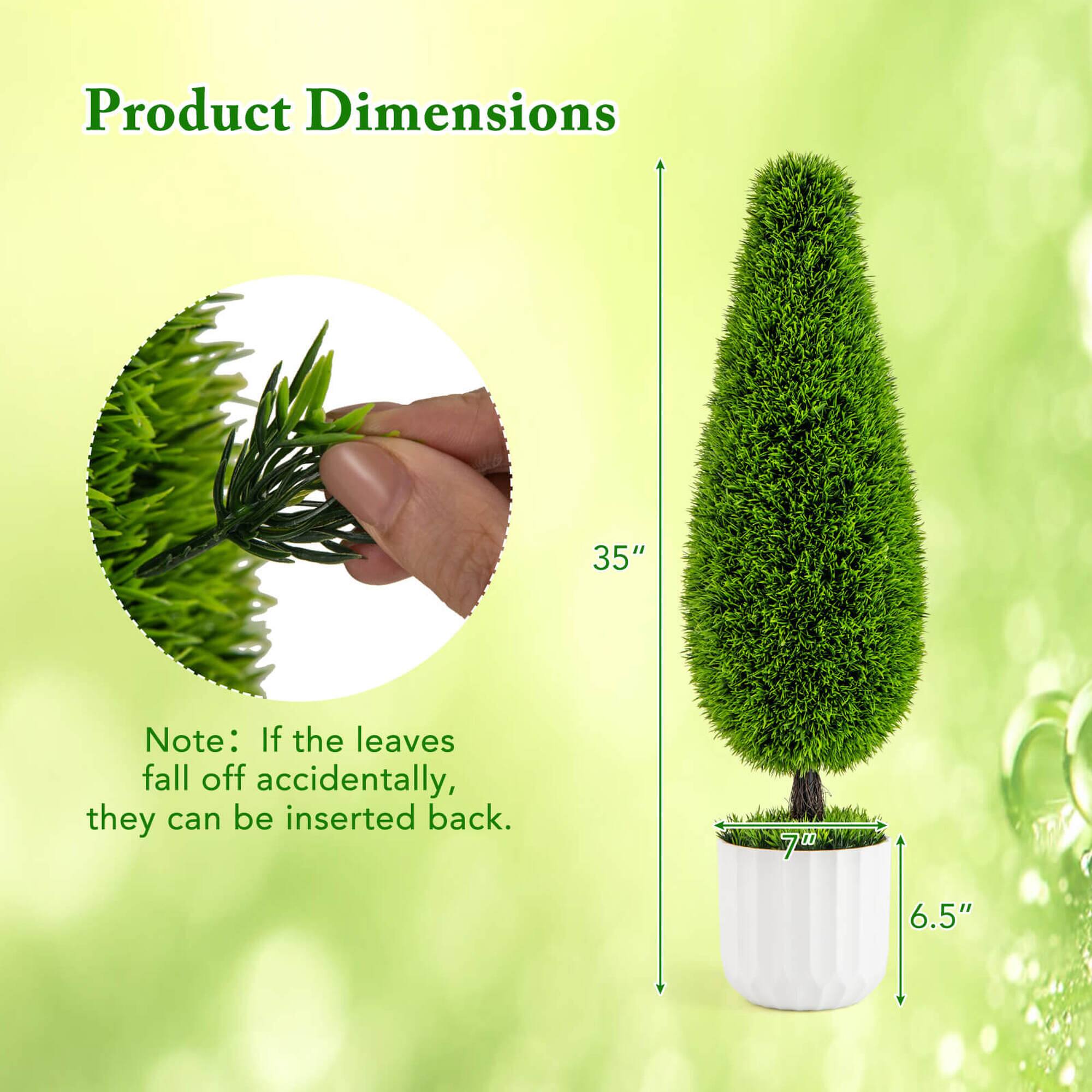 Product Dimensions: 35" (height) x 7" (diameter) x 6.5" (pot height)

Note: If the leaves fall off accidentally, they can be inserted back.