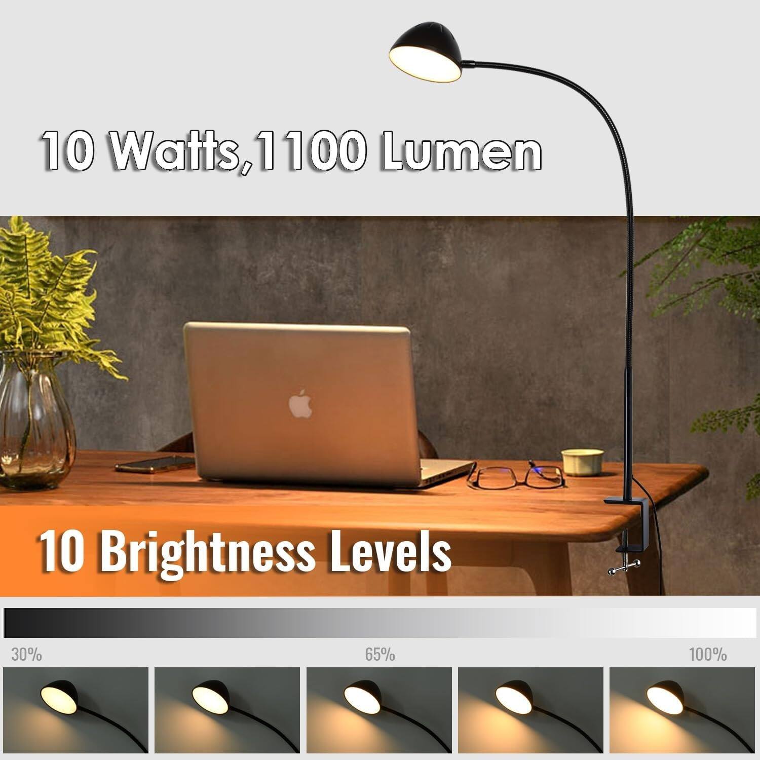 10 Watts, 1100 Lumen

10 Brightness Levels

30% 65% 100%