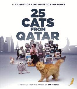 25 Cats from Qatar - BLU-RAY