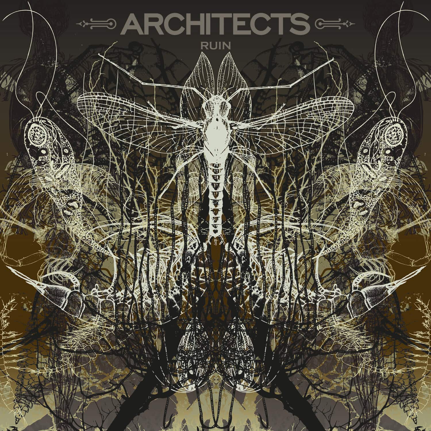 Architects - Ruin   - VINYL LP price history on PriceWatchPro