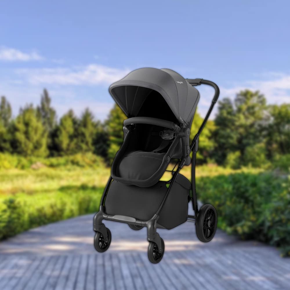 Hivvago - Convertible Baby Stroller with Reversible Seat and Bassinet Function - Gray