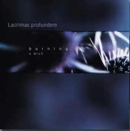 Lacrimas profundere
burning: a wish