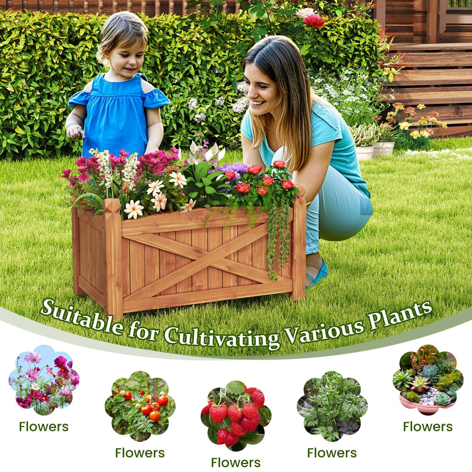 Suitable for Cultivating Various Plants

Flowers

Flowers

Flowers

Flowers