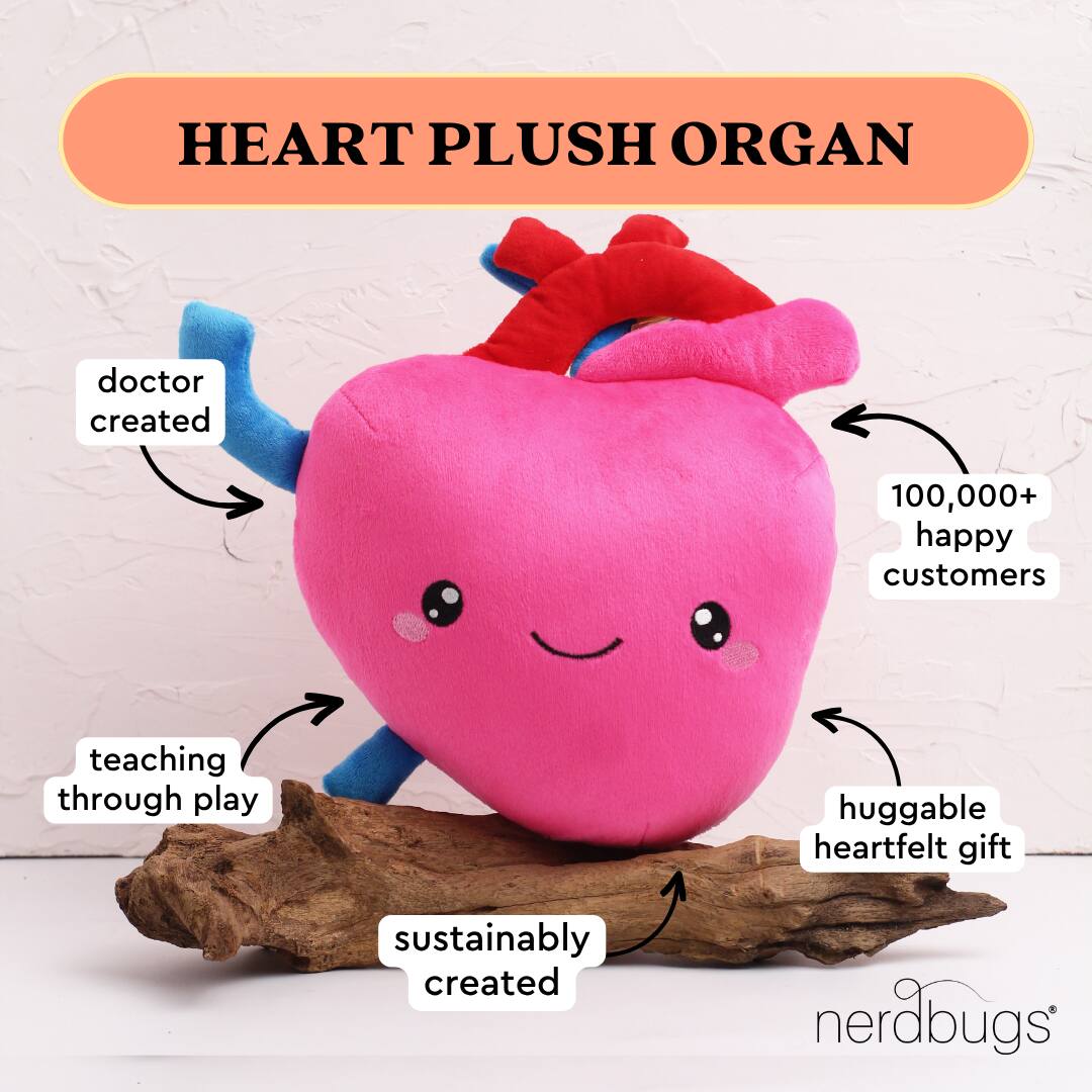 HEART PLUSH ORGAN

- doctor created
- teaching through play
- sustainably created
- huggable heartfelt gift
- 100,000+ happy customers

nerdbugs®