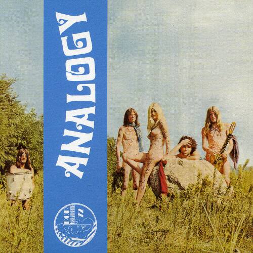 Analogy is a term that refers to the relationship between two or more concepts, ideas, or things that are similar in some way. In the image, there are five people standing in a grassy field, each holding a guitar. The group appears to be a band, and their presence in the field suggests a connection between their music and the natural environment. The concept of analogies can be applied to various aspects of life, including art, science, and everyday experiences. In this case, the band's music might be analogous to the peaceful and harmonious atmosphere of the field, or vice versa.