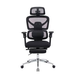 Forest'nSky - Ergonomic Home Office Desk Chair with Massage Lumbar Support - Black