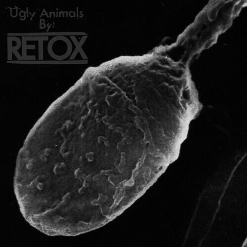 Ugly Animals By: RETOX