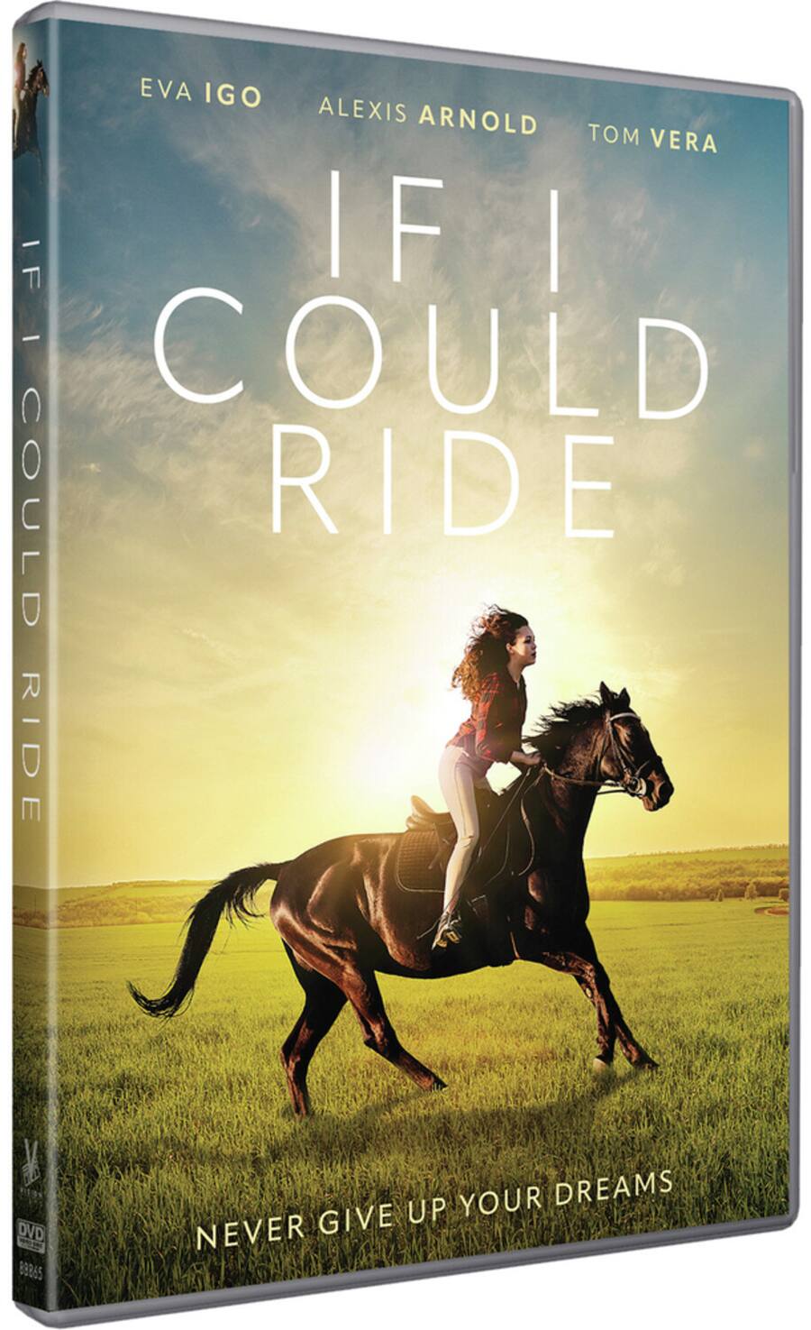 If I Had A Ride If I Could Ride DVD - Best Buy