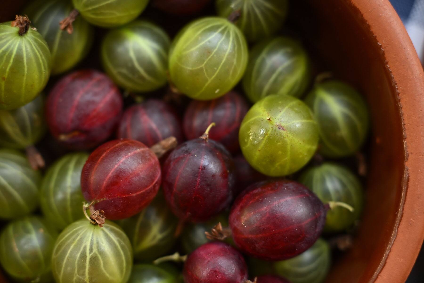 Alt View 9. Nikon - Nikon NIKKOR Z DX 16-50mm f/2.8 Wide-angle Mirrorless Zoom VR Lens - Black.