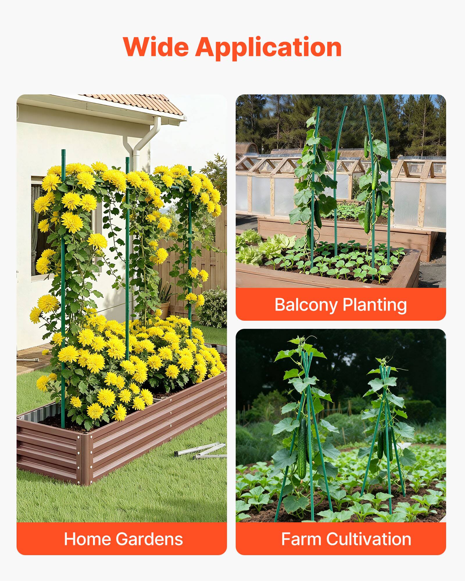 Wide Application  
Balcony Planting  
Home Gardens  
Farm Cultivation
