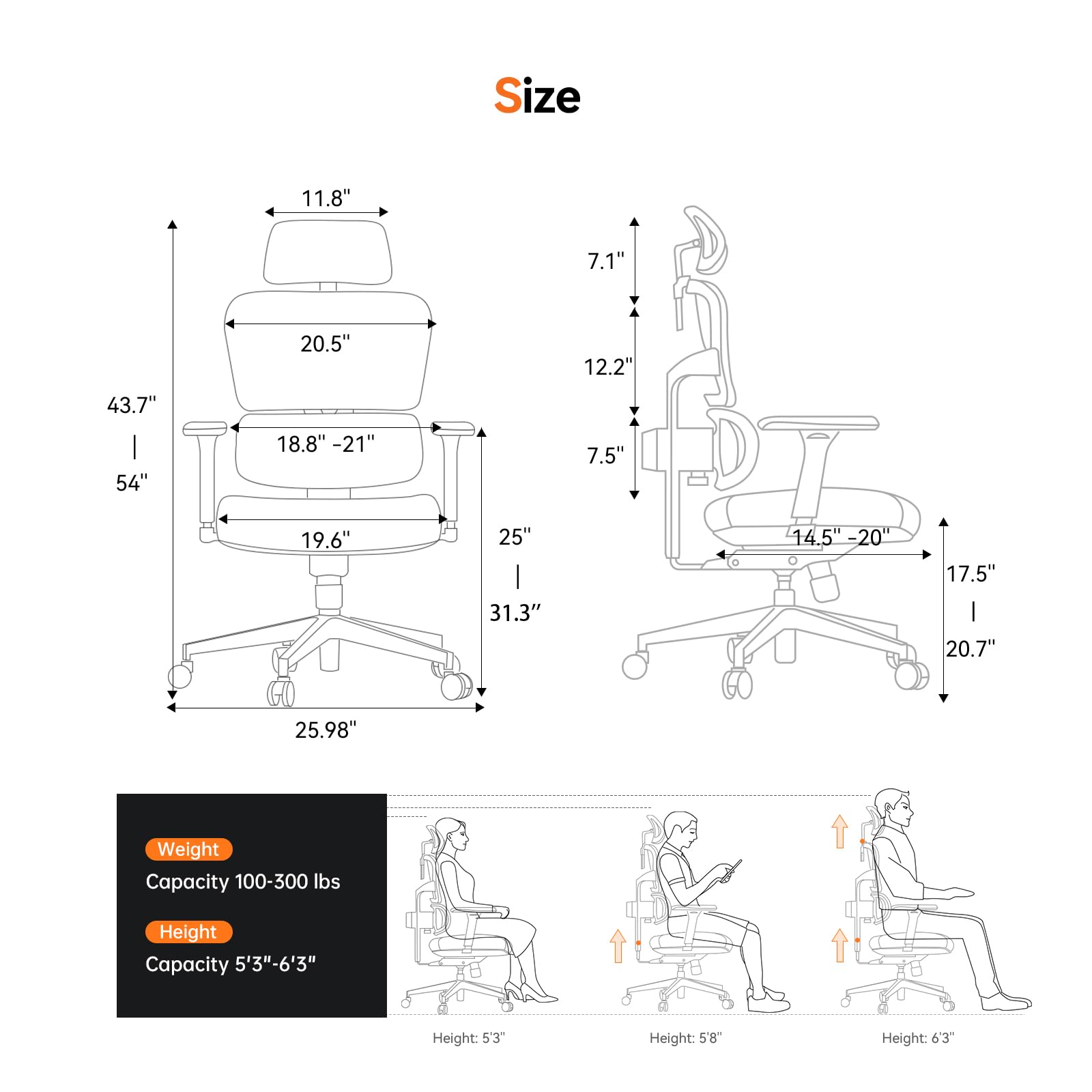 Size:  
- 11.8"  
- 7.1"  
- 20.5"  
- 12.2"  
- 43.7"  
- 54"  
- 18.8" - 21"  
- 7.5"  
- 19.6"  
- 25"  
- 31.3"  
- 14.5" - 20"  
- 17.5"  
- 20.7"  
- 25.98"  

Weight Capacity: 100-300 lbs  

Height Capacity: 5'3"-6'3"  

Height: 5'3"  
Height: 5'8"  
Height: 6'3"