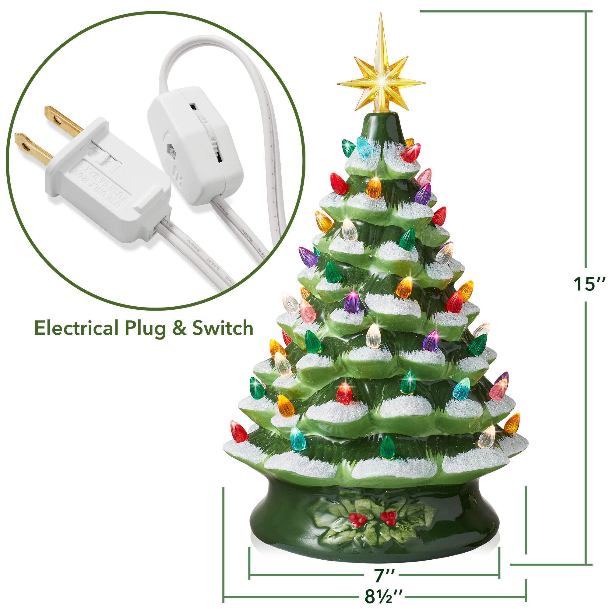 ISAN FUSEGAMAX. XVEVG / E FUSE a50 AOOE  
Electrical Plug & Switch  
15"  
7"  
8½"