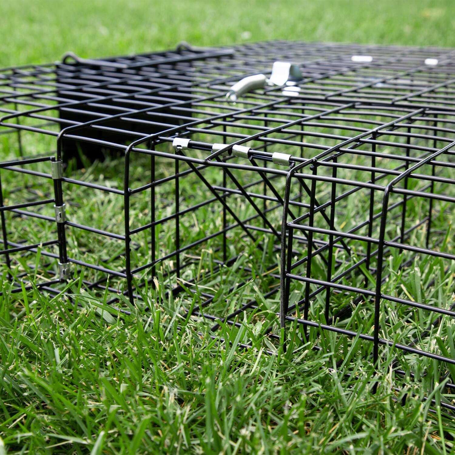Alt View 5. Rugged Ranch Products - Rugged Ranch SQRTO Squirrelinator Trap CatchMor Live Animal 2 Door Metal Cage - Black.