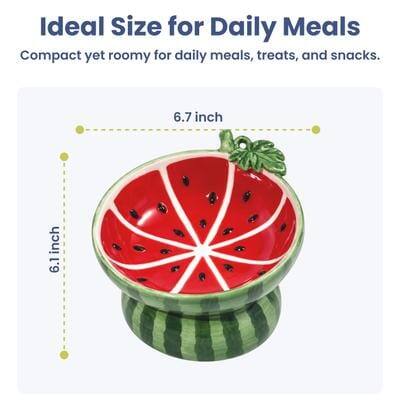 Ideal Size for Daily Meals  
Compact yet roomy for daily meals, treats, and snacks.  
6.7 inch  
6.1 inch