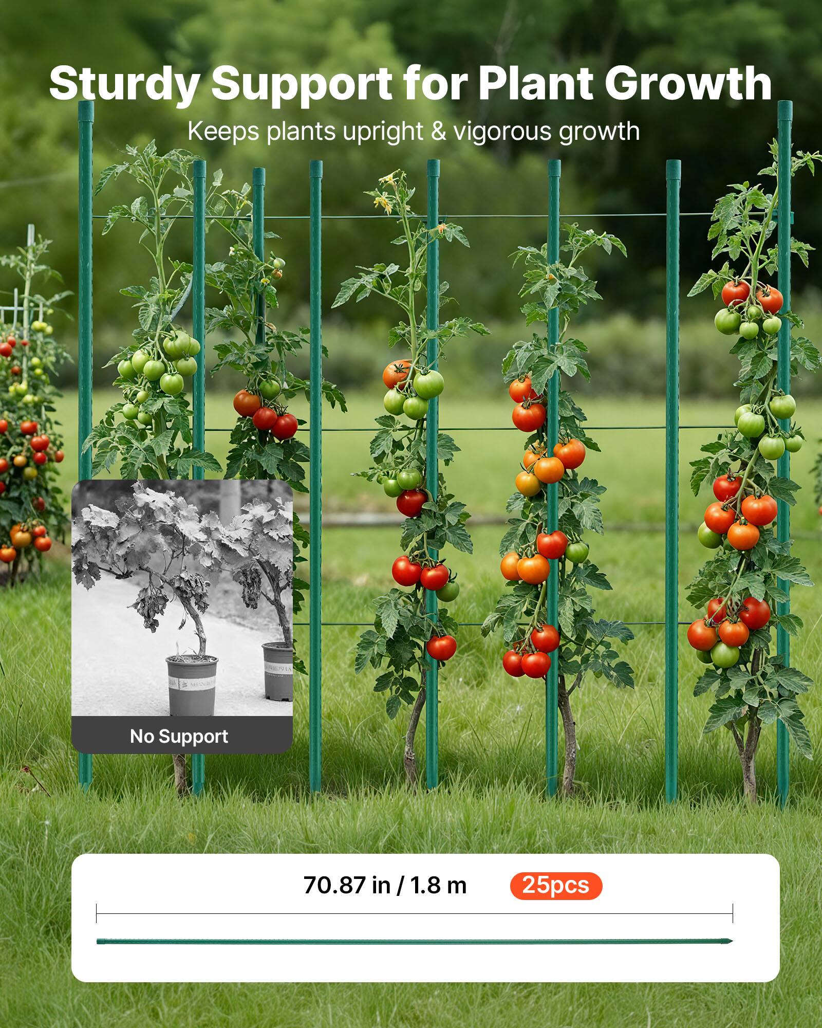 Sturdy Support for Plant Growth  
Keeps plants upright & vigorous growth  

No Support  

70.87 in / 1.8 m  

25pcs