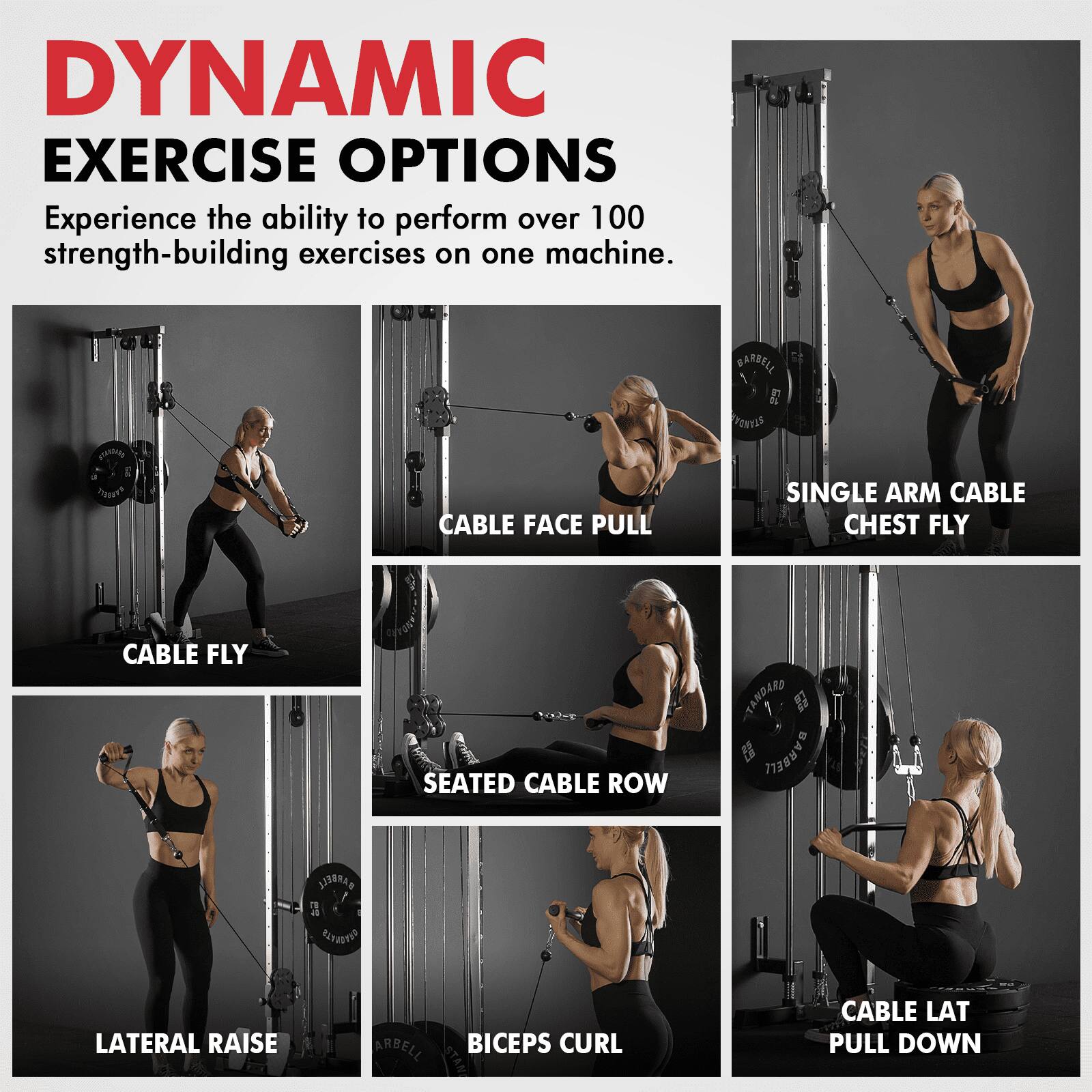 DYNAMIC EXERCISE OPTIONS Experience the ability to perform over 100 strength-building exercises on one machine. 

CABLE FACE PULL
SINGLE ARM CABLE CHEST FLY
CABLE FLY
SEATED CABLE ROW
LATERAL RAISE
BICEPS CURL
CABLE LAT PULL DOWN