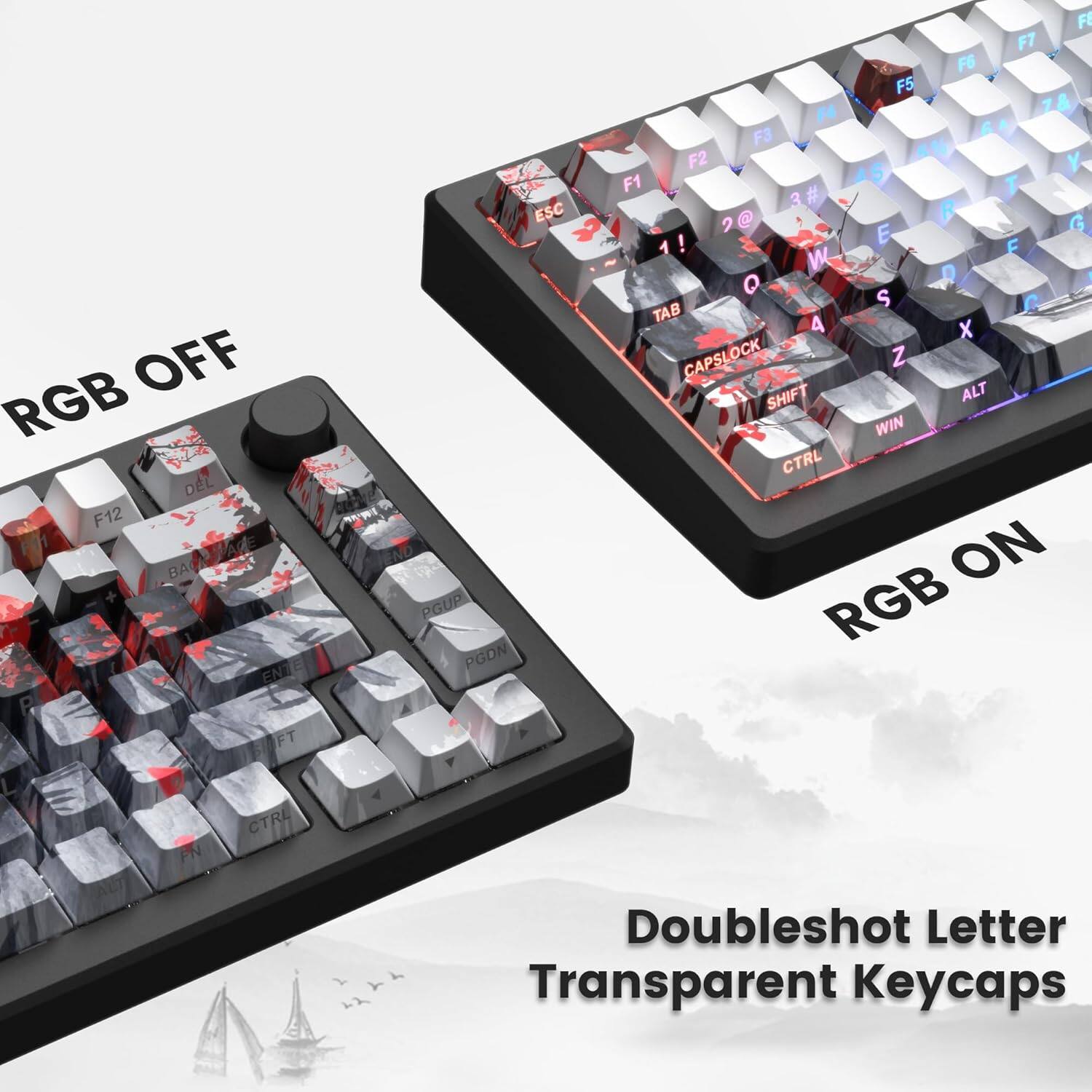 OFF RGB DEL F12 BACNSACE BAC ENTE WW FI F7 F6 F5 7 & F4 6 F3 F2 Y F1 5 # T 3 ESC  R G > 2 E ! F W O 0 S C TAB 4 x CAPSLOCK Z SHIFT ALT WIN CTRL ON PGUP RGB PGDN SIFT FN CTRL Doubleshot Letter Transparent Keycaps