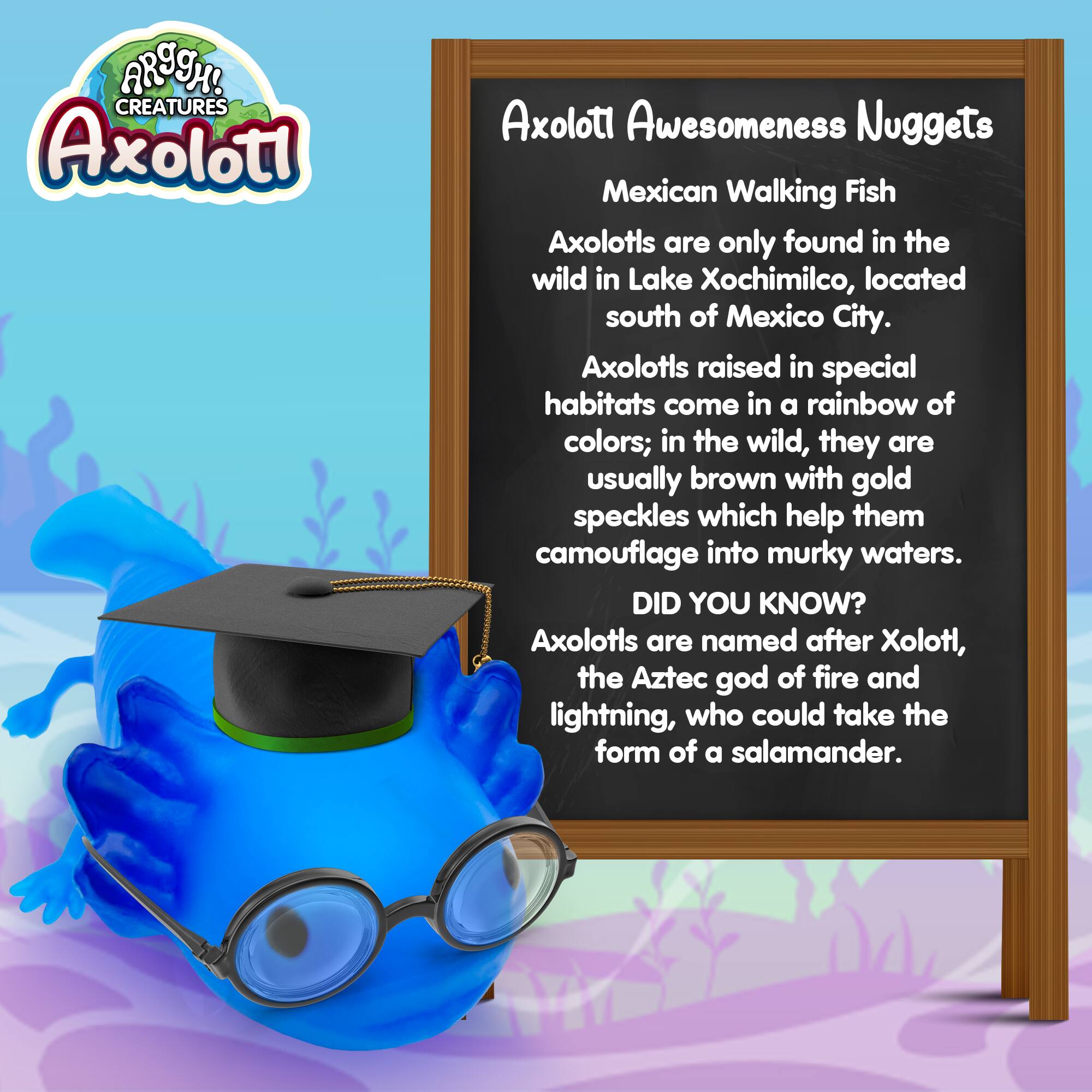 **ARROH! CREATURES**

**Axolotl**

**Axolotl Awesomeness Nuggets**

**Mexican Walking Fish**

Axolotls are only found in the wild in Lake Xochimilco, located south of Mexico City.

Axolotls raised in special habitats come in a rainbow of colors; in the wild, they are usually brown with gold speckles which help them camouflage into murky waters.

**DID YOU KNOW?**

Axolotls are named after Xolotl, the Aztec god of fire and lightning, who could take the form of a salamander.