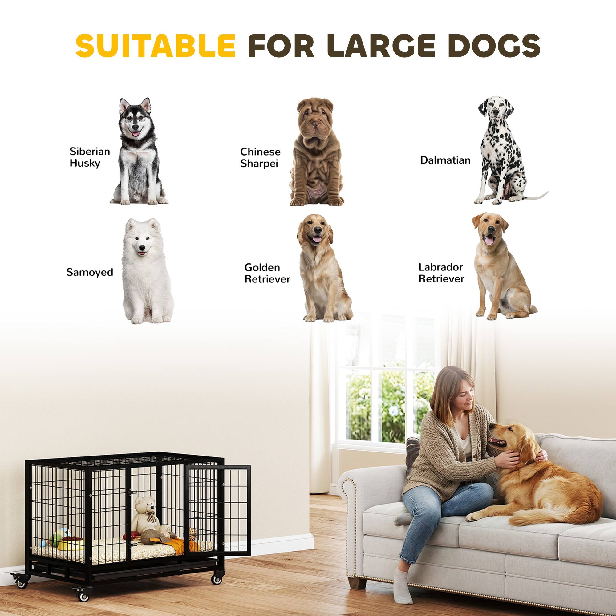 SUITABLE FOR LARGE DOGS

- Siberian Husky
- Chinese Shar Pei
- Dalmatian
- Samoyed
- Golden Retriever
- Labrador Retriever