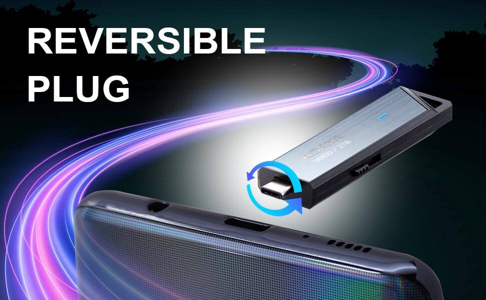 REVERSIBLE PLUG