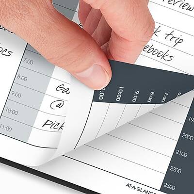 Sure, here is the corrected and grouped text:

**Schedule:**
- 7:00
- 8:00
- 9:00 Ga
- 10:00
- 1:00 Pick

**Activities:**
- Review
- Book trip
- eBooks

**Time Slots:**
- 7:00
- 8:00
- 9:00
- 10:00
- 1:00

**Pages:**
- 19
- 2000
- 2100
- 2200
- 2300

**AT-A-GLANCE**