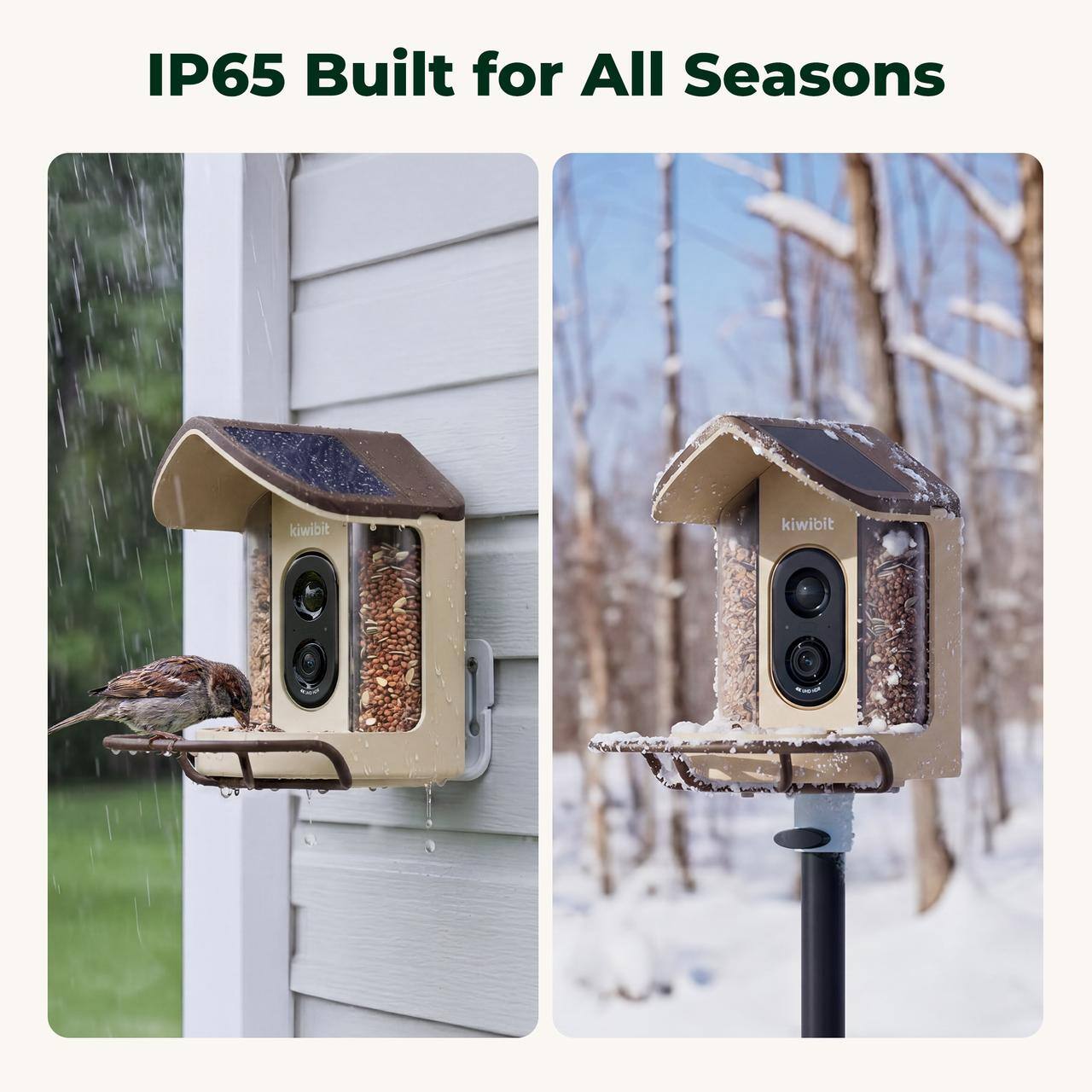 IP65 Built for All Seasons