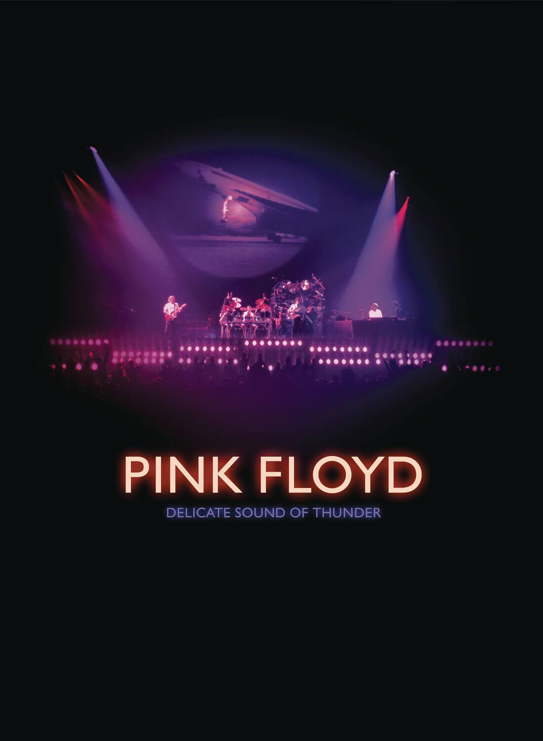 Front. Pink Floyd - Pink Floyd: Delicate Sound of Thunder   - DVD.
