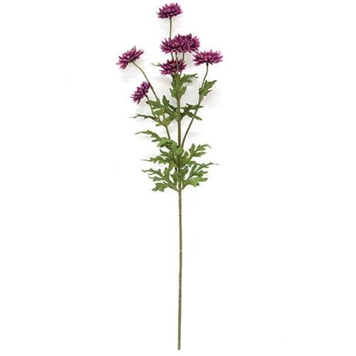 BreeBe - Plum Strawflower Spray - 25" - Multi