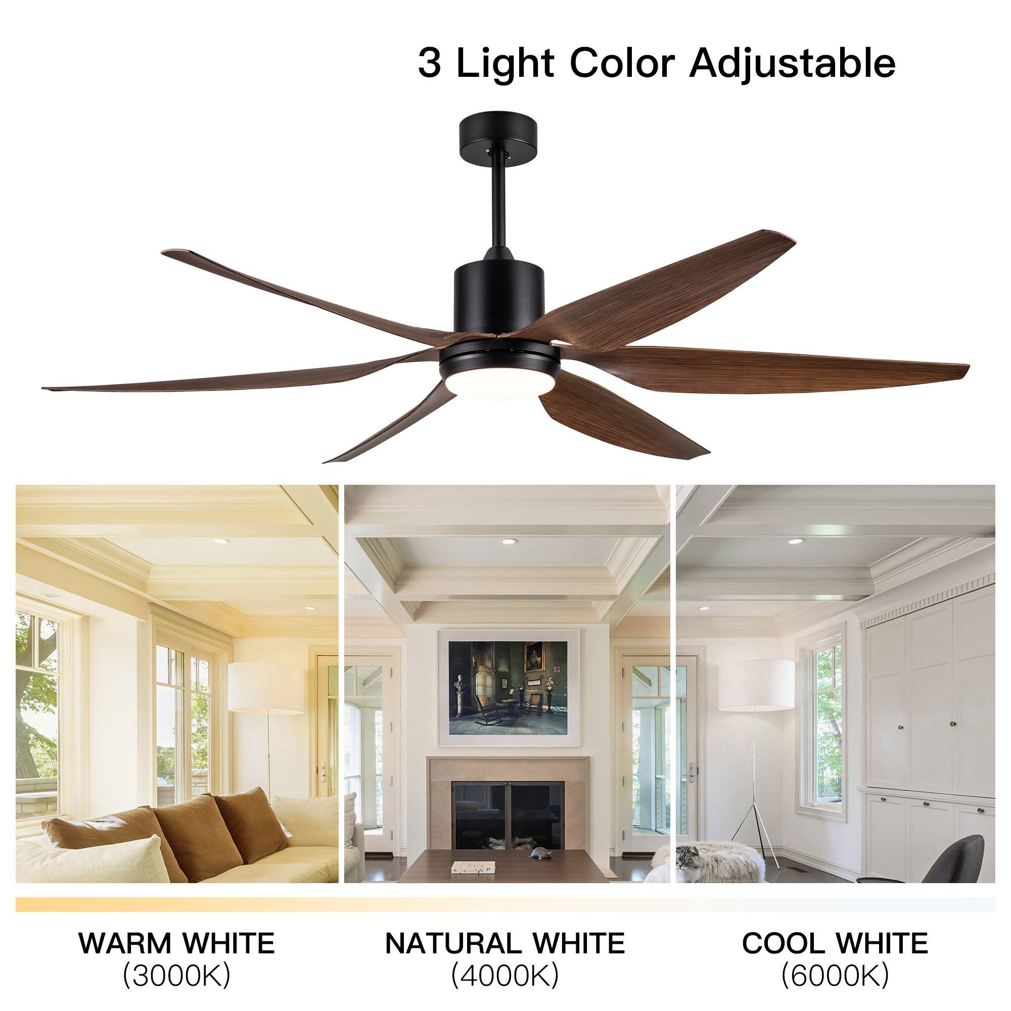 3 Light Color Adjustable

WARM WHITE (3000K)

NATURAL WHITE (4000K)

COOL WHITE (6000K)