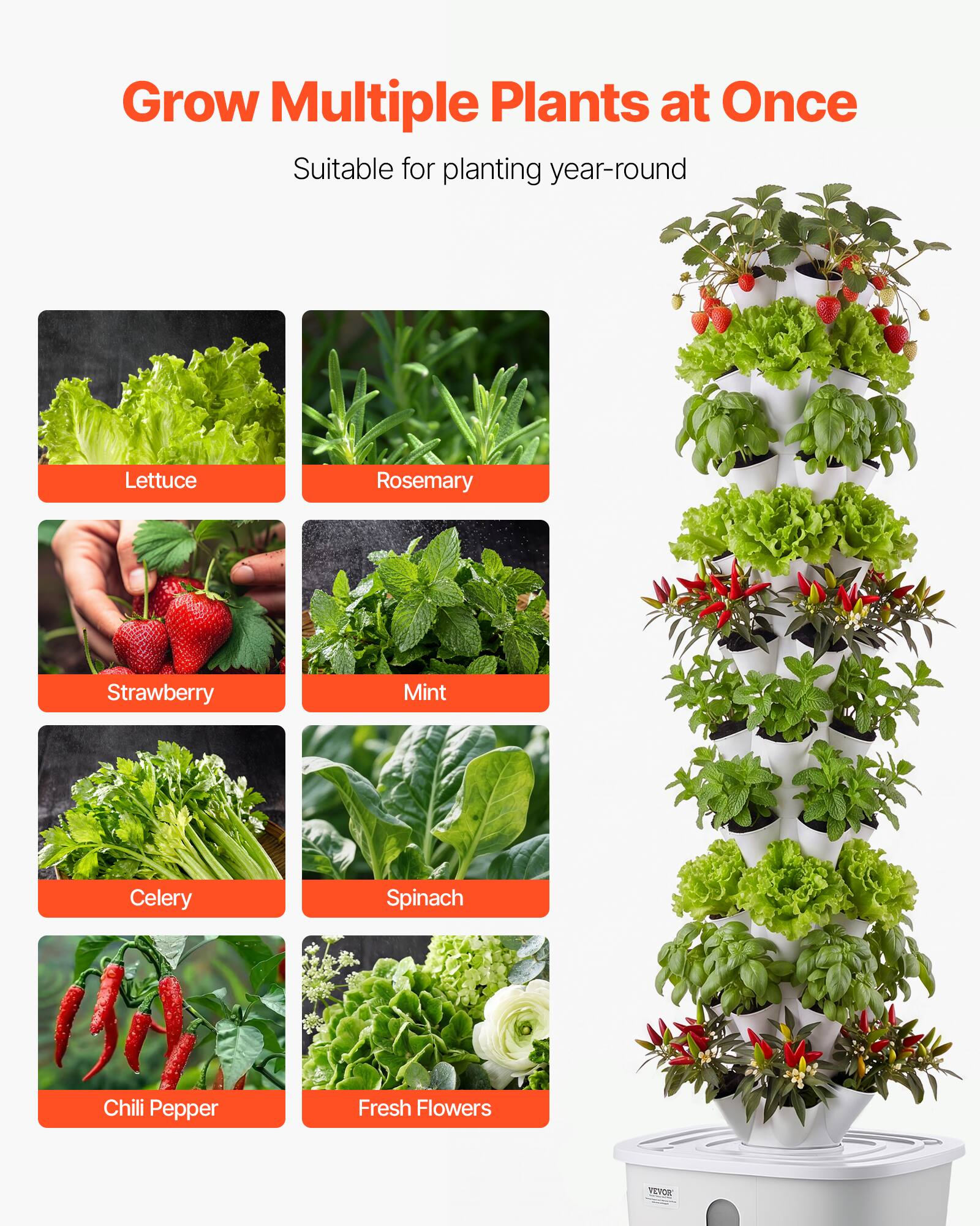 Grow Multiple Plants at Once  
Suitable for planting year-round  

- Lettuce  
- Rosemary  
- Strawberry  
- Mint  
- Celery  
- Spinach  
- Chili Pepper  
- Fresh Flowers  

VEYOS