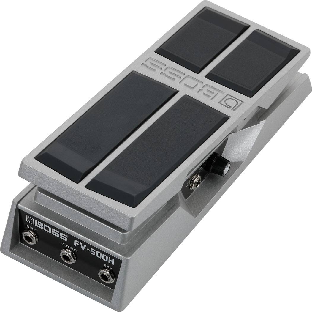 BOSS FV-500H EXP  
INPUT OUTPUT EXP