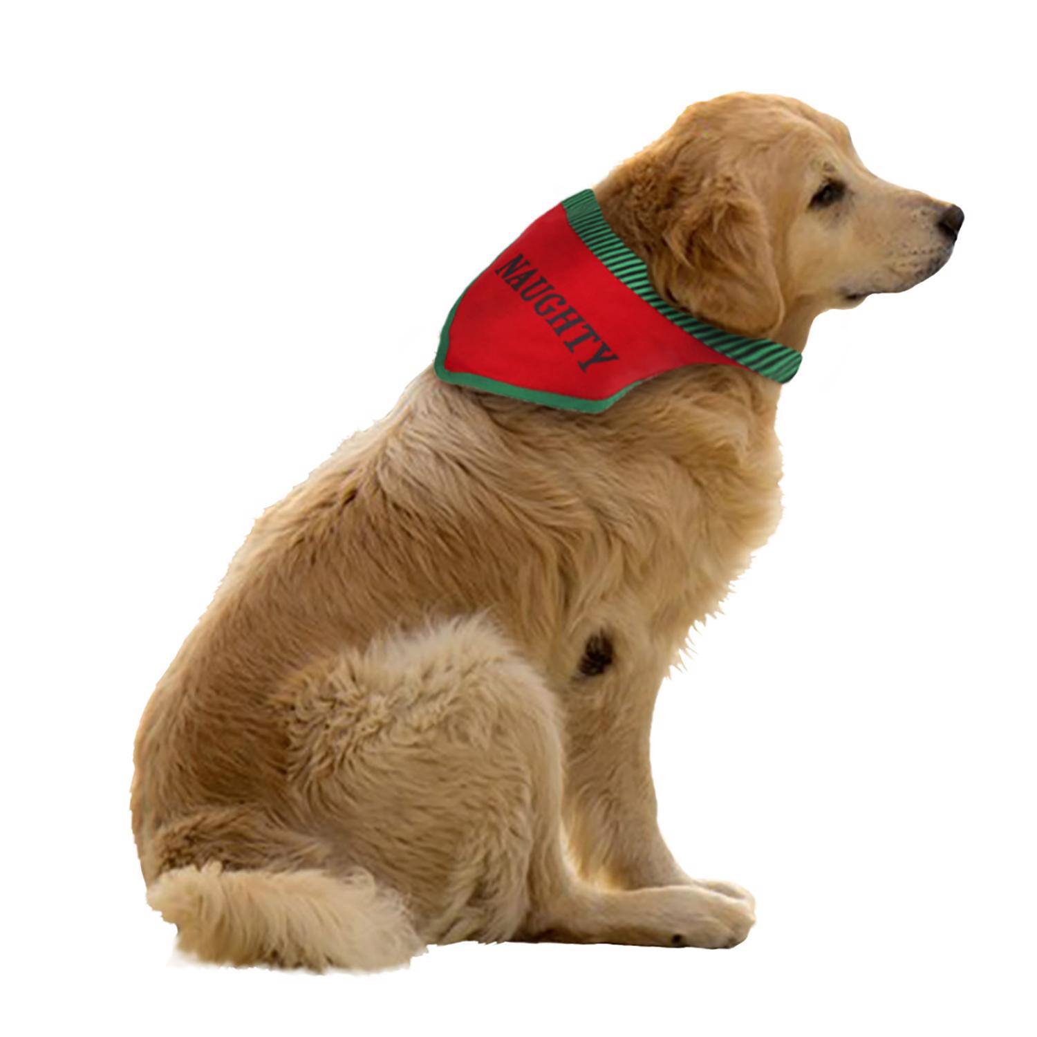 Angle. Dyno - Dyno Bandana Pet Costume 2 pk (Case of 12) - Multicolored.