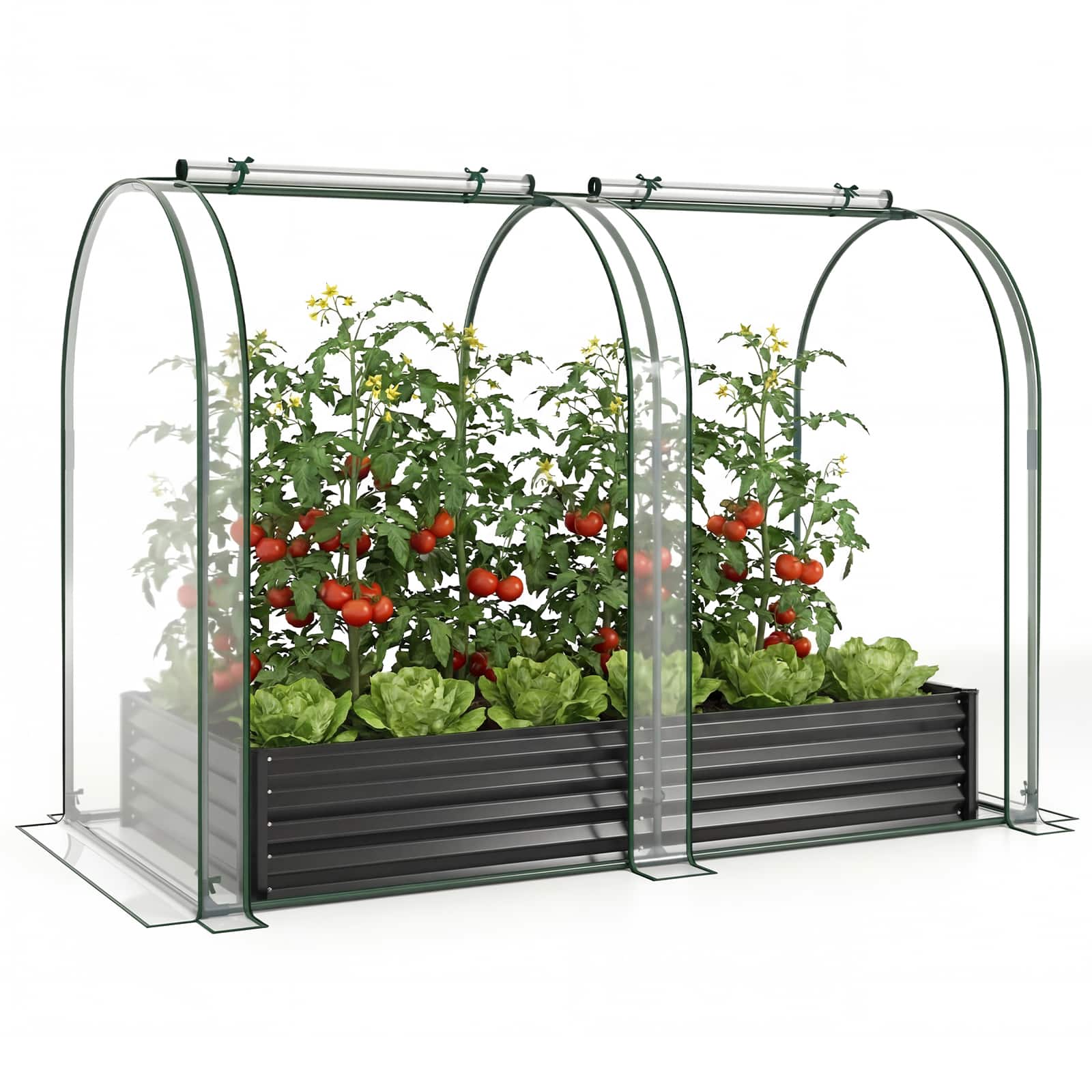 Gymax - 6 x 3 x 1 FT Galvanized Raised Garden Bed w/Greenhouse Cover 2 Roll-up Windows Transparent - Black